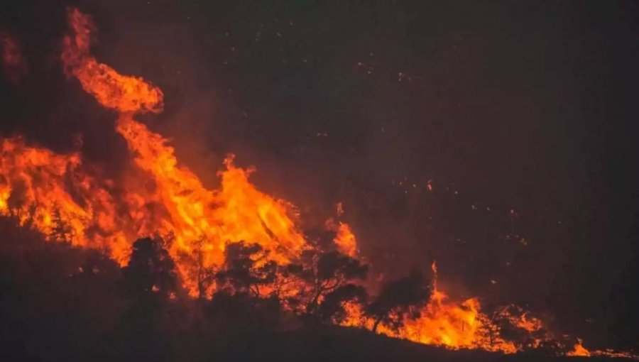 Evacuan por mar a más de dos mil personas debido a los incendios en Rodas, Grecia