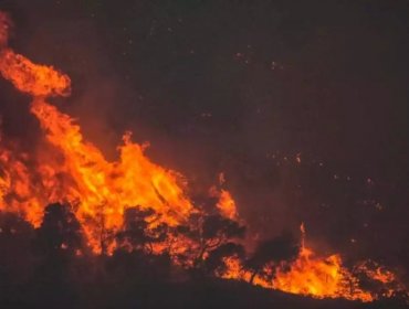 Evacuan por mar a más de dos mil personas debido a los incendios en Rodas, Grecia