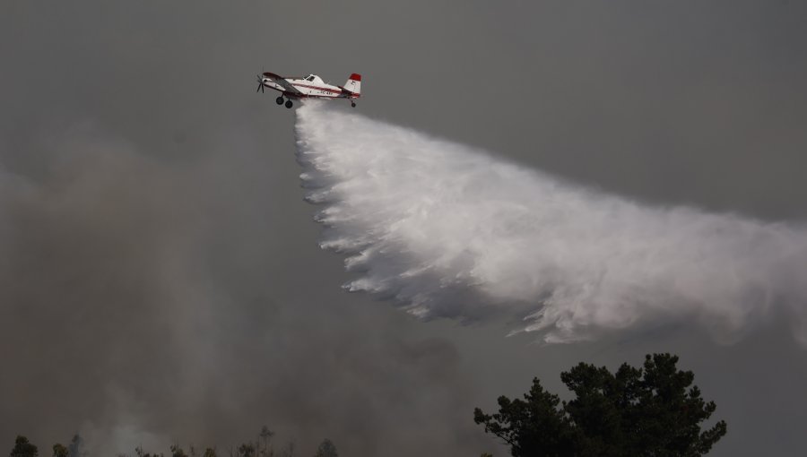 Incendio forestal: Senapred pidió evacuar sectores de comuna de Alto del Carmen