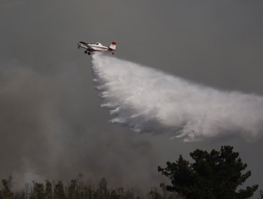 Incendio forestal: Senapred pidió evacuar sectores de comuna de Alto del Carmen