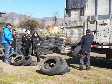 Cerca de 450 neumáticos han sido retirados en Los Andes para evitar proliferación del mosquito que puede transmitir dengue