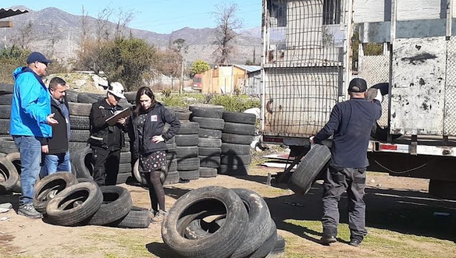 Cerca de 450 neumáticos han sido retirados en Los Andes para evitar proliferación del mosquito que puede transmitir dengue