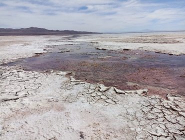 Consejo de Defensa del Estado demanda a mineras Escondida, Zaldívar y Albemarle por daños provocados al Salar de Atacama