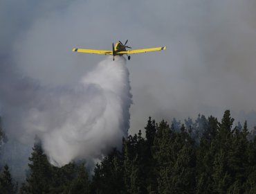 Confirman sanción contra dos empresas que se coludieron durante siete años en el combate de incendios forestales