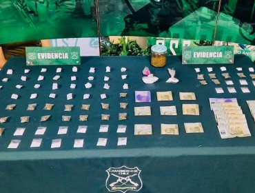 Casi 30 mil dosis de drogas fueron sacadas de circulación en tres operativos Marga Marga, Viña del Mar y Valparaíso