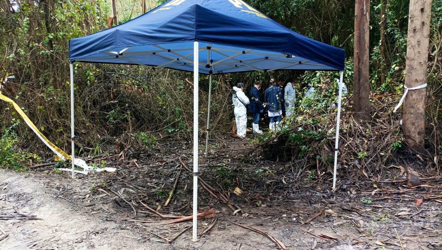 Encuentran cuerpo decapitado al costado de un camino en Hualpén: estaba tapado con maderas