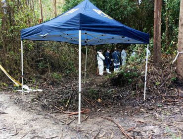 Encuentran cuerpo decapitado al costado de un camino en Hualpén: estaba tapado con maderas