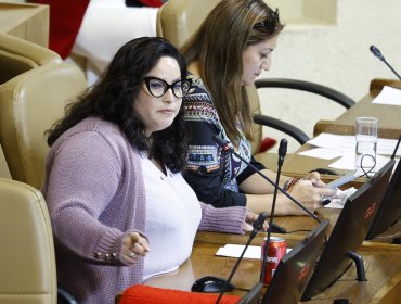 Diputada Mónica Arce tras ser retenida en aeropuerto de Santiago: "Se me trató como una delincuente"