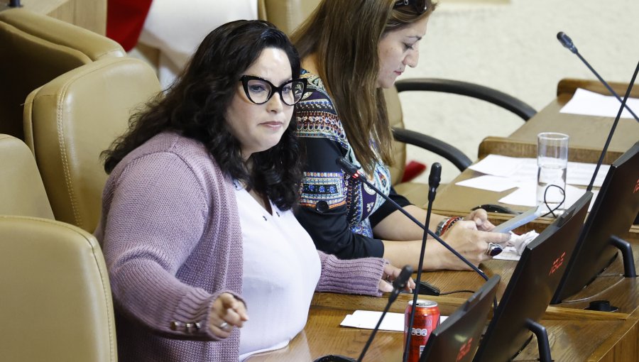 Diputada Mónica Arce tras ser retenida en aeropuerto de Santiago: "Se me trató como una delincuente"