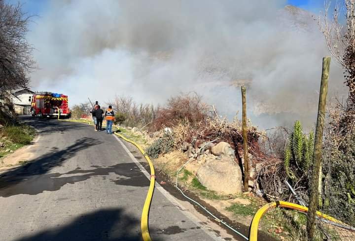 Declaran Alerta Roja para Monte Patria por incendio forestal que se encuentra cercano a sectores poblados