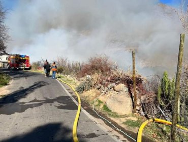 Declaran Alerta Roja para Monte Patria por incendio forestal que se encuentra cercano a sectores poblados