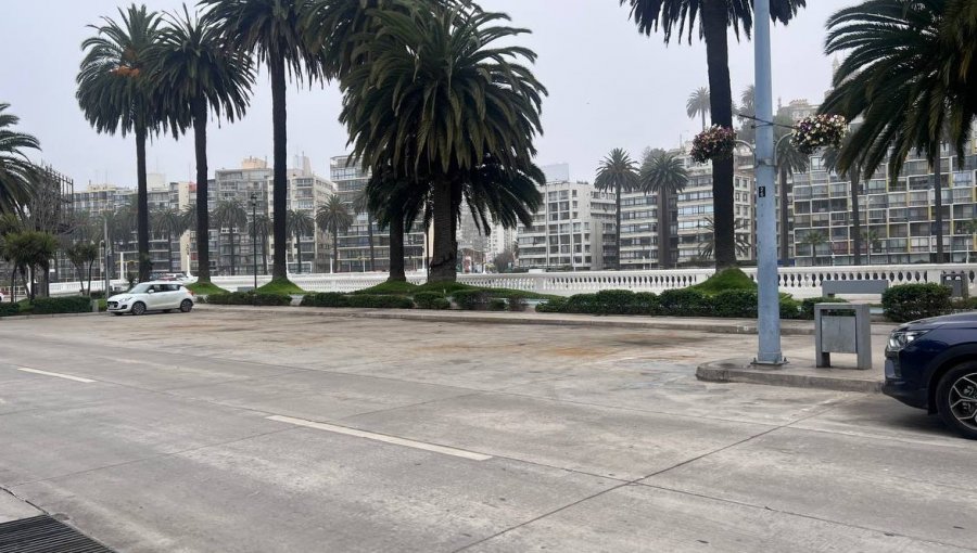 Sector de los ex cocheros de victorias de Viña del Mar fue recuperado y será destinado a usos deportivos