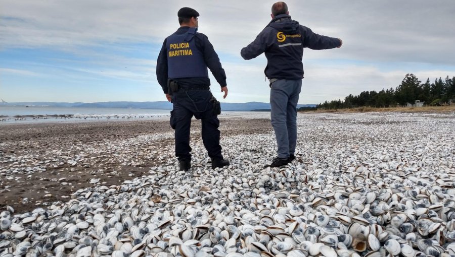 Inician trabajo ante eventuales contingencias por la presencia del fenómeno El Niño