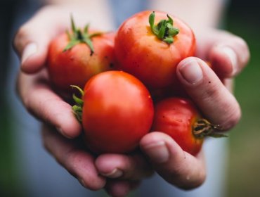 Los beneficios que otorga el tomate dentro de tu dieta