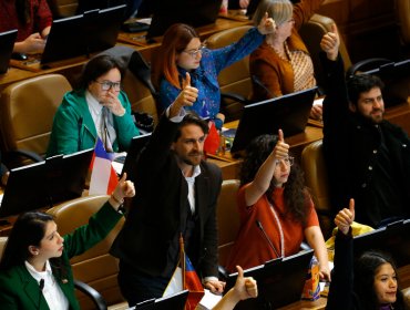 Cámara de Diputadas y Diputados aprueba proyecto que sanciona porte injustificado de combustibles