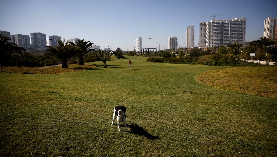 Propuesta para renombrar el Parque La Foresta de Reñaca como «Gastón Hamel» interesa al Municipio: "Es una gran iniciativa"