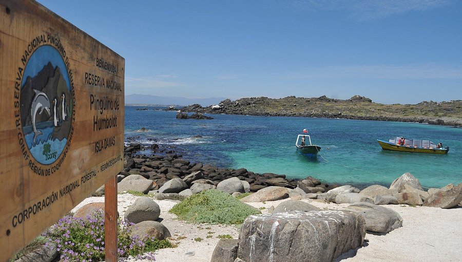 Aprueban la creación del Área Marina Protegida del Archipiélago de Humboldt