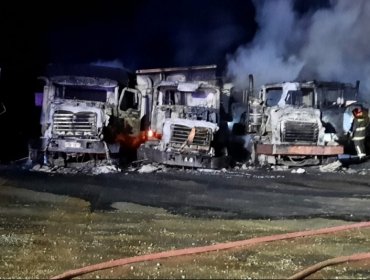 Una veintena de camiones fueron quemados por desconocidos en empresa de Los Lagos