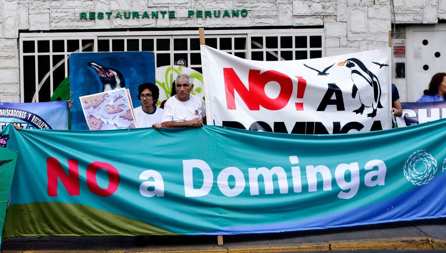 Primer Tribunal Ambiental admitió a trámite reclamación por proyecto Dominga