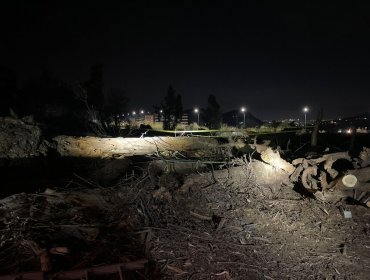 Trabajador muere aplastado por un árbol en Lo Barnechea