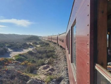 Tren del recuerdo realizó viaje entre Limache y Ritoque para evaluar posibilidad de una futura ruta turística