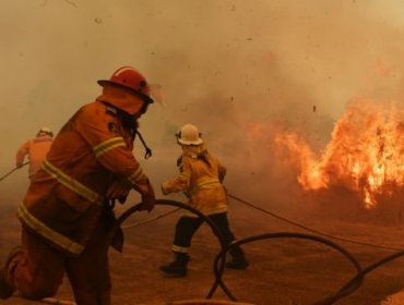 Los impactos menos conocidos de los incendios y cómo pueden cambiar el clima a largo plazo