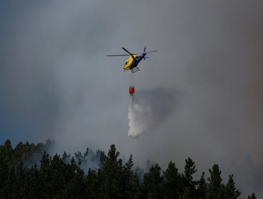 Revelan nueva colusión en combate de incendios forestales, ahora con helicópteros