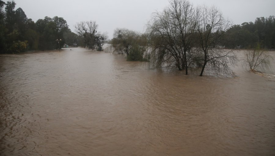 "Existe una afectación relevante": Gobierno advierte respecto a las consecuencias en el sector agrícola de Maule por lluvias