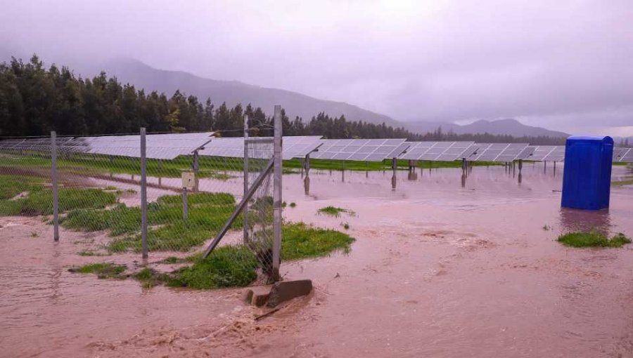 Asociación de Exportadores de Frutas de Chile reporta plantaciones anegadas por sistema frontal: descartan impacto en los envíos