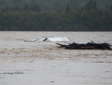 Gobierno decretó Estado de Emergencia Agrícola en 117 comunas de las regiones de O'Higgins, Ñuble, Maule y Biobío