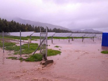 Asociación de Exportadores de Frutas de Chile reporta plantaciones anegadas por sistema frontal: descartan impacto en los envíos