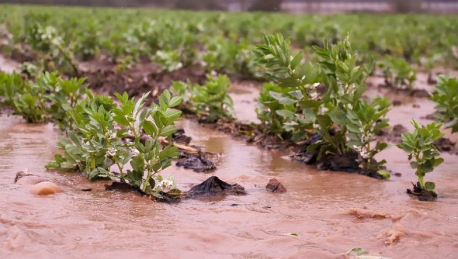 Gobierno compromete $20 mil millones en apoyo a agricultores damnificados por sistema frontal