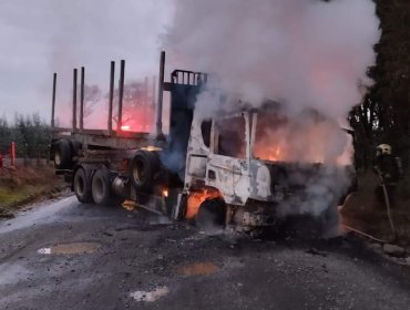 Antisociales interceptaron caravana de camiones madereros y quemaron cuatro máquinas en ruta de Collipulli