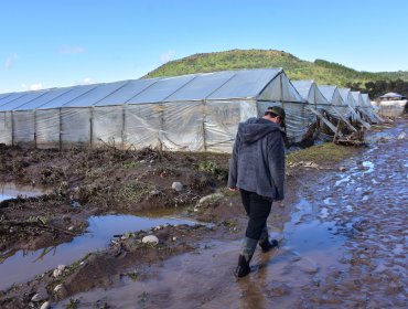 Comenzó el catastro de agricultores que recibirán bono por daños y condonaciones tras inundaciones por el sistema frontal