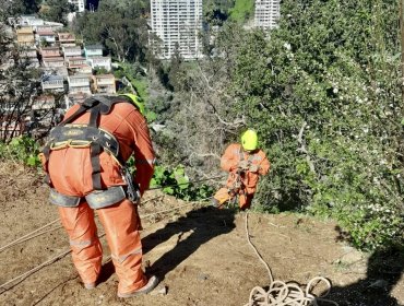 Tramo final de la ruta 68 permanecerá cerrado todo el fin de semana hacia Valparaíso por deslizamiento de tierra en Santos Ossa
