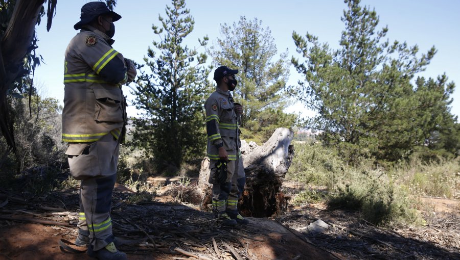 Tras más de 12 horas de angustia, hallan sanos y salvos a dos adolescentes que estuvieron perdidos en cerros de Villa Alemana