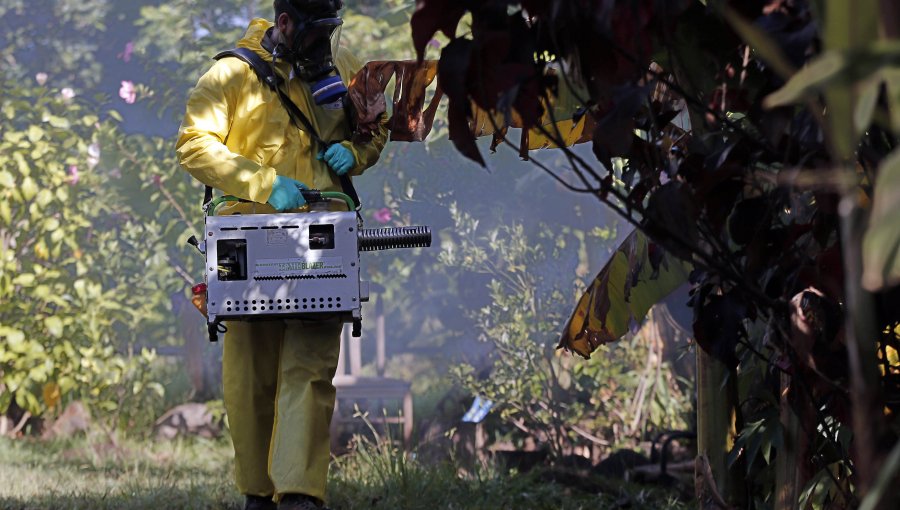 Alerta sanitaria en 7 regiones del país por el Dengue: Conoce todos los detalles de esta enfermedad viral