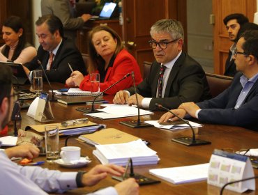 Ministro Marcel presentó los lineamientos del pacto fiscal ante la Comisión de Hacienda de la Cámara