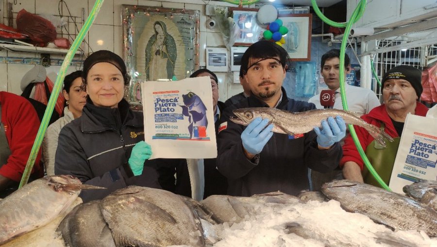 Sernapesca llama a cuidar los recursos del mar en lanzamiento de la veda de la merluza común