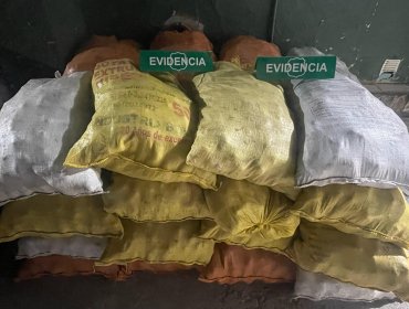 Decomisan 7 toneladas de papas ingresadas de forma clandestina al norte de Chile desde Bolivia y Perú
