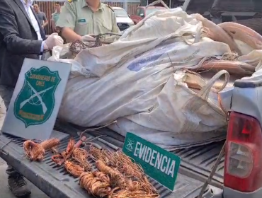 Incautan más de dos toneladas de cobre robado que se encontraban al interior de una chatarrería en Alto Hospicio