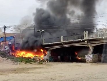 Ruco resulta completamente destruido por incendio bajo el puente Quillota de Viña