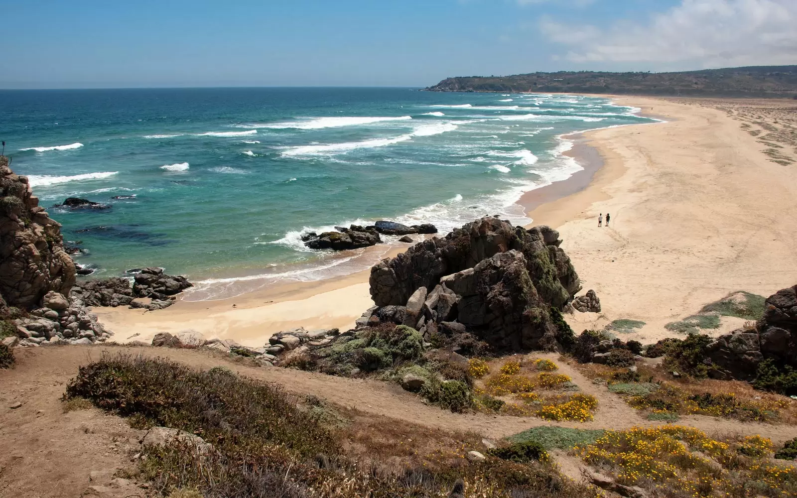 Declaran Santuarios de la Naturaleza a tres sectores costeros de la región de Valparaíso
