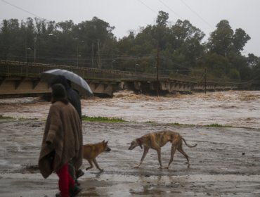 Balance del MOP tras sistema frontal en la zona centro-sur: se ha recuperado un 73% de la infraestructura crítica afectada