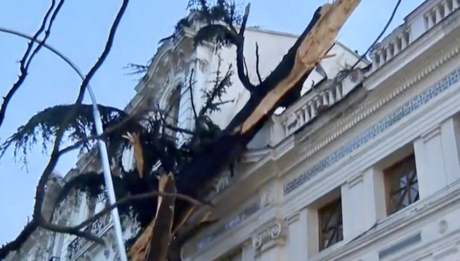 Ciprés de unos 150 años cae sobre el Palacio Cousiño de Santiago tras colapso del terreno