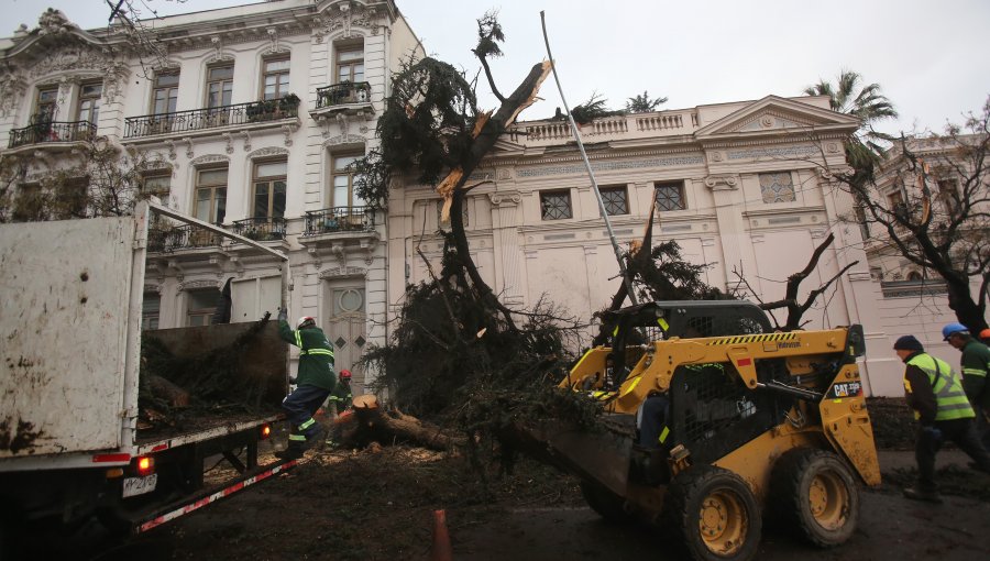 Municipio de Santiago afirma que "a simple vista" no se aprecian daños estructurales en el Palacio Cousiño tras caída de un árbol