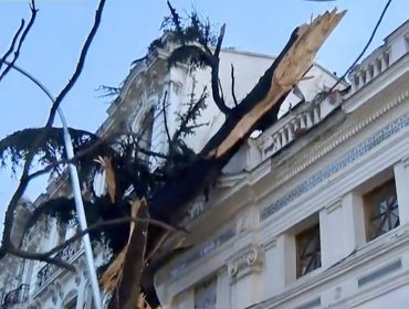 Ciprés de unos 150 años cae sobre el Palacio Cousiño de Santiago tras colapso del terreno