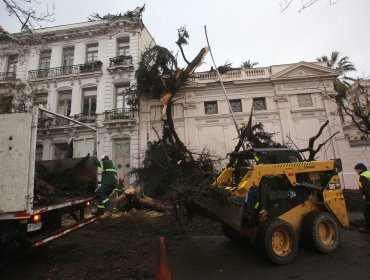 Municipio de Santiago afirma que "a simple vista" no se aprecian daños estructurales en el Palacio Cousiño tras caída de un árbol