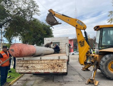 Retiran dos torpedos de guerra desde plaza de juegos para niños de La Cruz