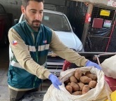 77 toneladas de papas de contrabando han sido detectadas por el SAG en vísperas de Fiestas Patrias